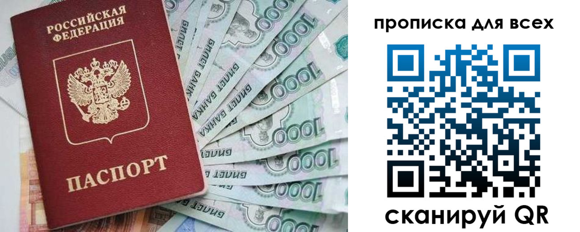 прописка гарантия в Балтийске